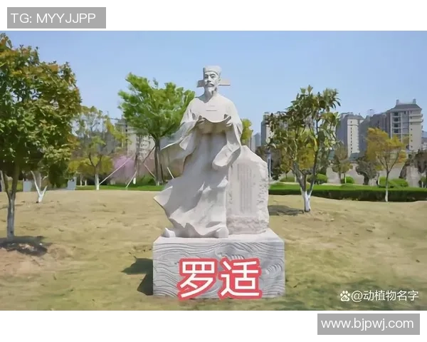 罗字球星集锦：那些在足球场上闪耀的罗姓传奇球员