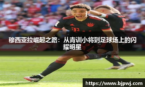 英国365集团